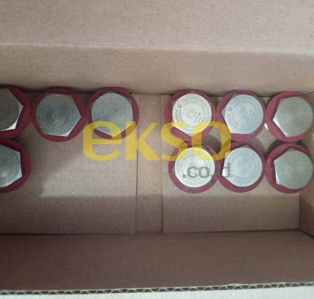 CYA1100YXN M16 HOLLOW HEAD PLUG BRASS NP EXDEXE
