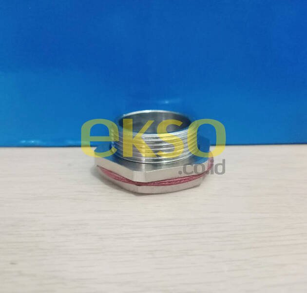 CYA1400YXN M32 HOLLOW HEAD PLUG BRASS NP EXDEXE